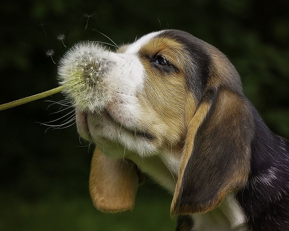 Photograph by Anna Sindikayeva