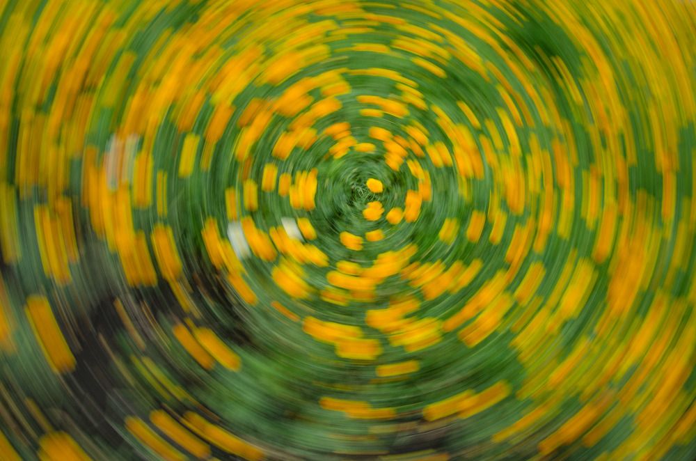 Фотография автора Крутяков Арсений