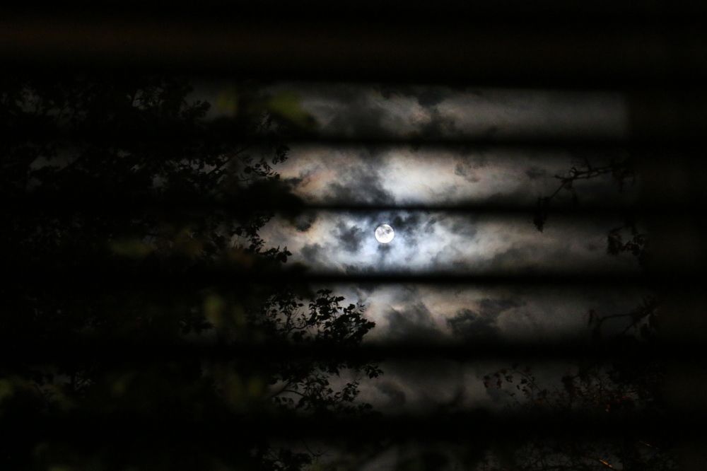 Photograph by Анастасия Свиридова