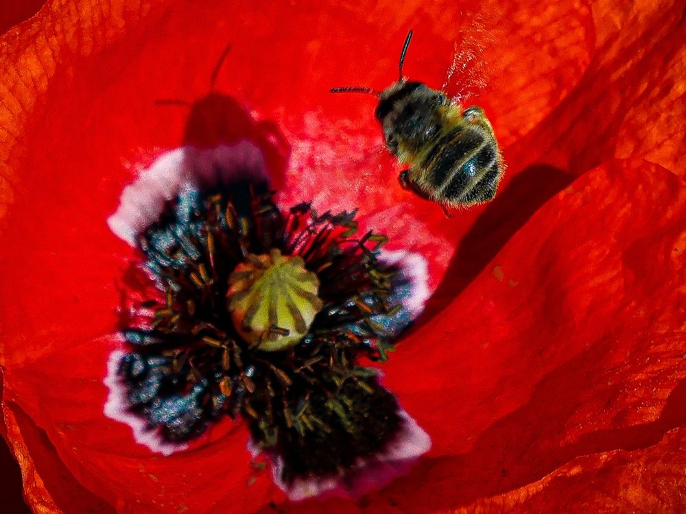 Photograph by Eva Wiedemann