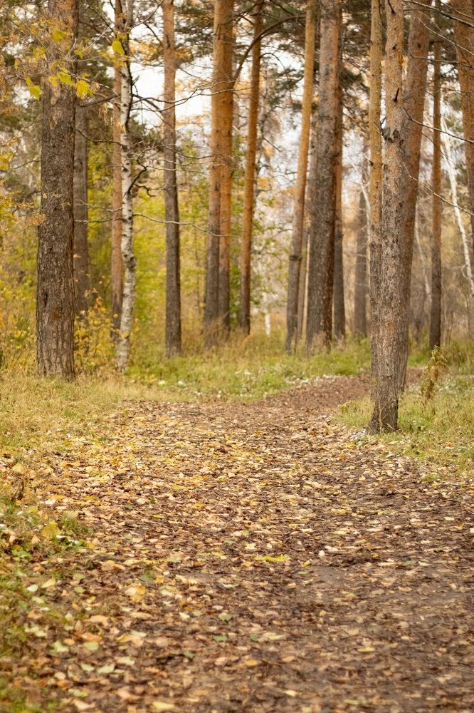 Фотография автора Егор Пешков