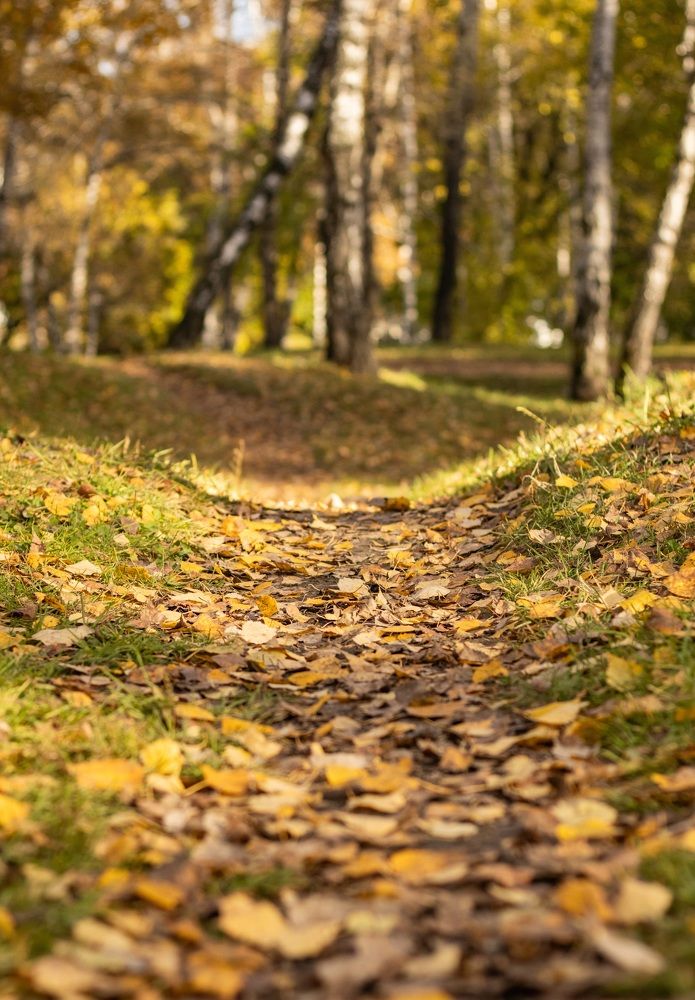 Фотография автора Егор Пешков