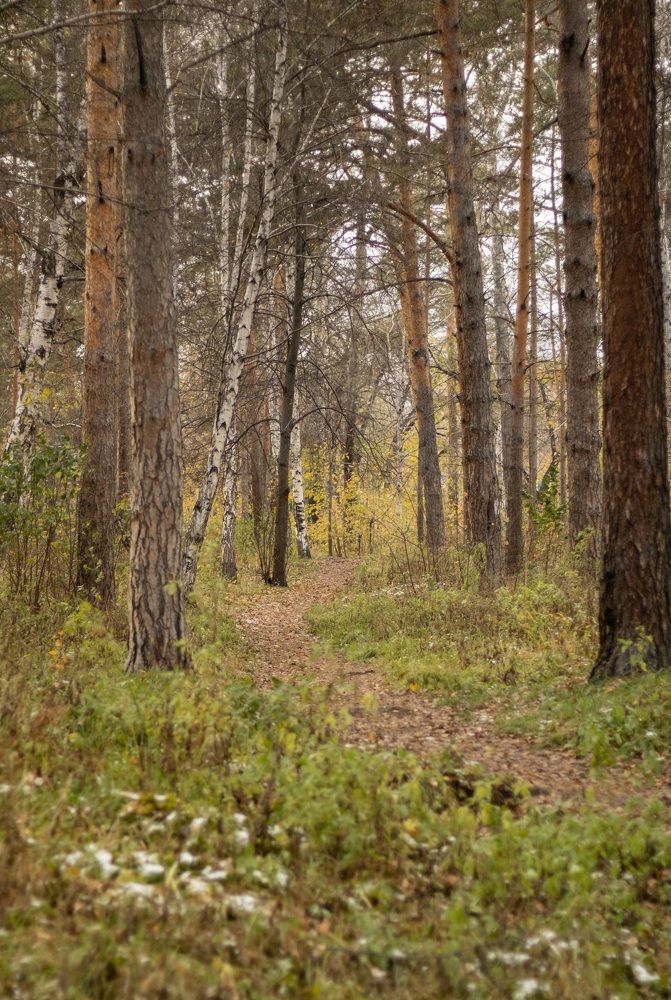 Фотография автора Егор Пешков