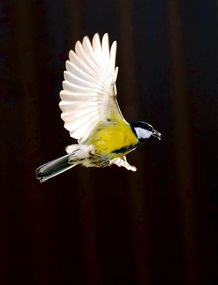 Photograph by Татьяна Слесарева