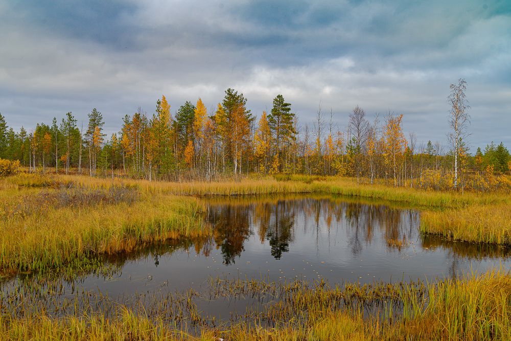 Photograph by Лактионов Анатолий