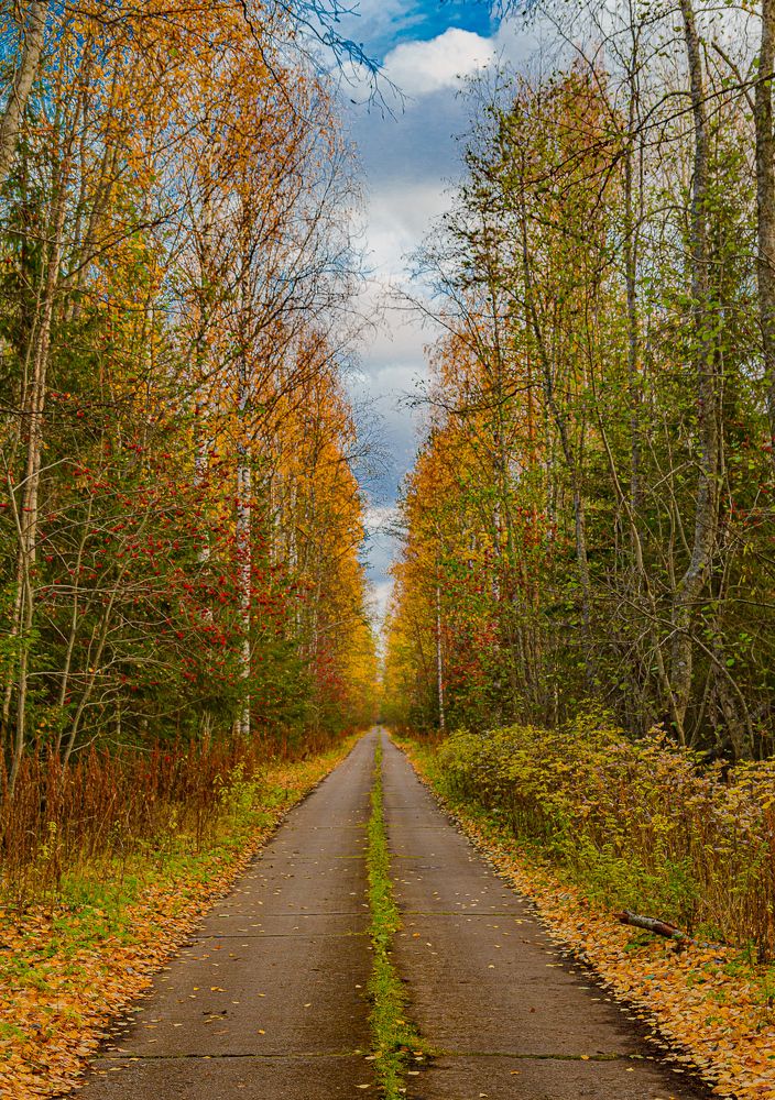 Photograph by Лактионов Анатолий
