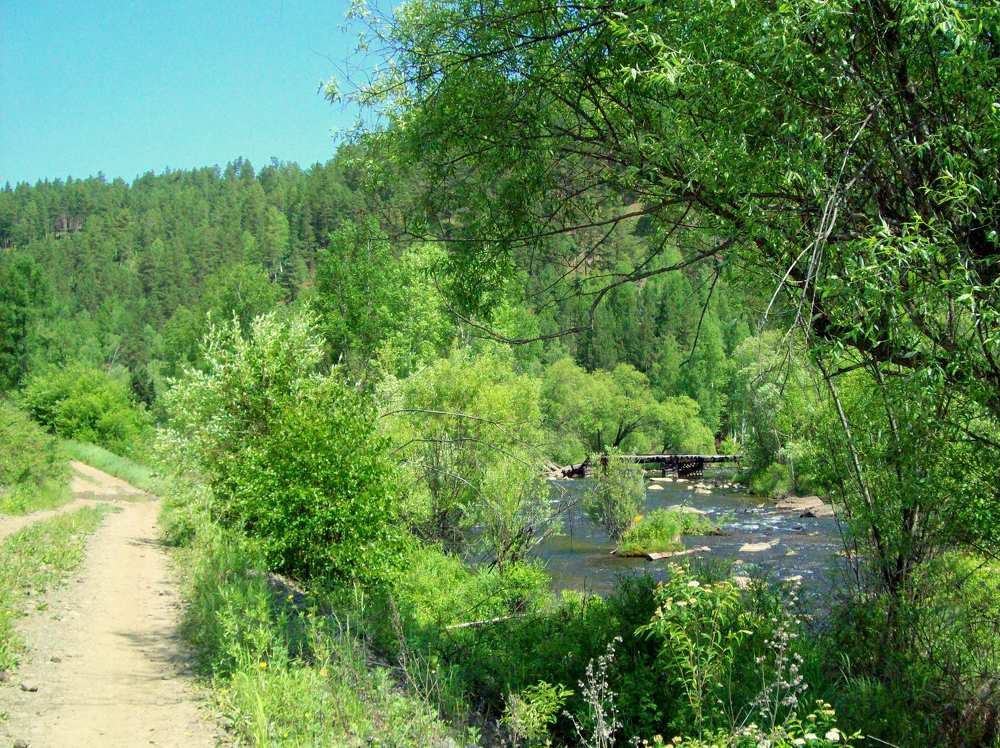 Photograph by Мигун Александра