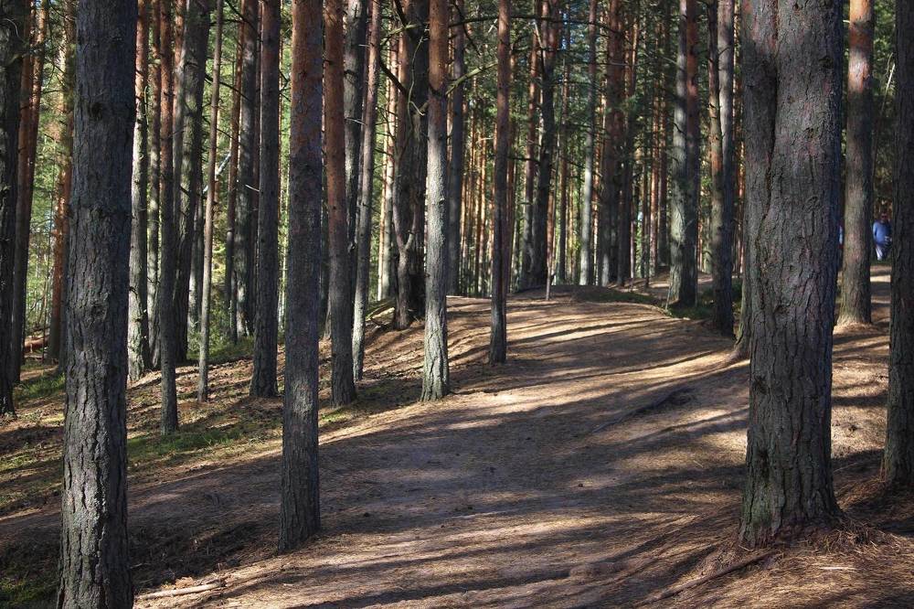 Photograph by Ирина Макарова