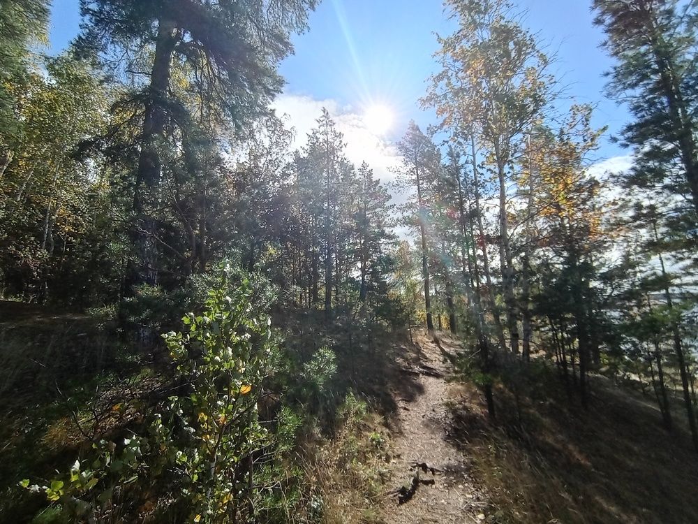 Photograph by Наталья Сырых