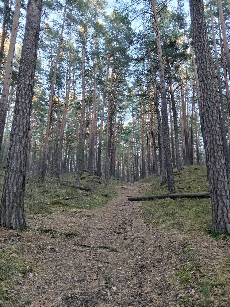 Photograph by Наталья Сырых