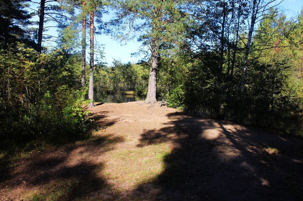 Photograph by Ирина Макарова