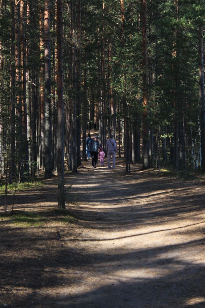 Photograph by Ирина Макарова