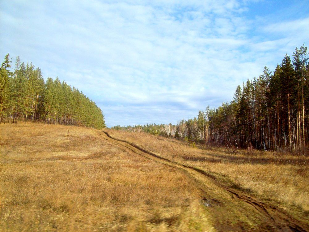 Photograph by Мигун Александра