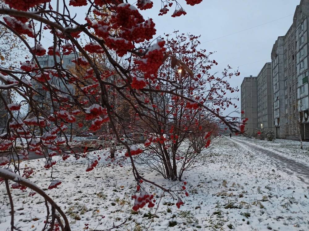 Фотография автора Александр Осинцев