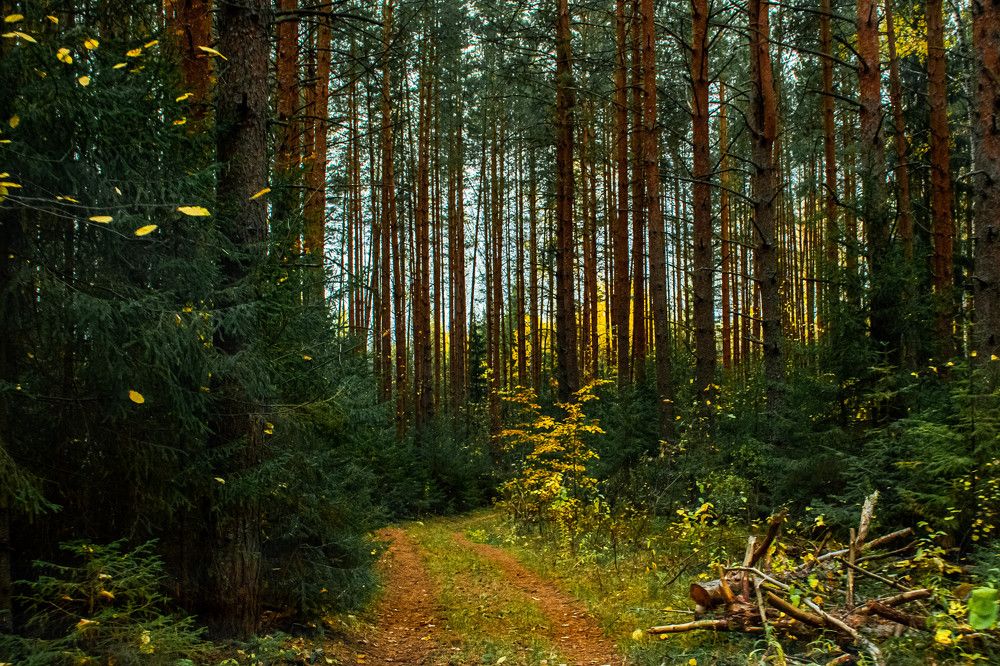 Photograph by Людмила Баймухаметова