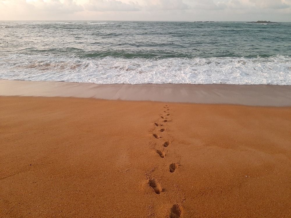 Photograph by Александр Миронов