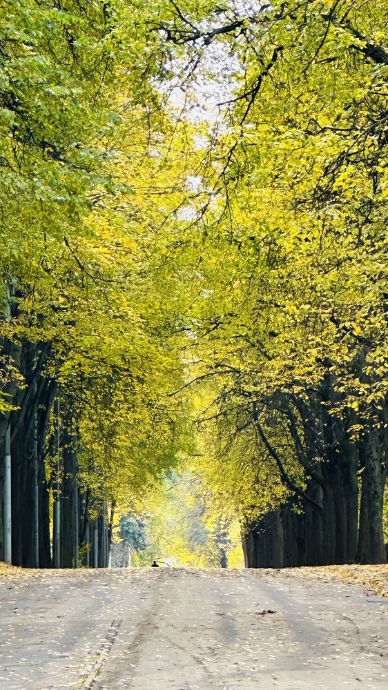 Photograph by Светлана