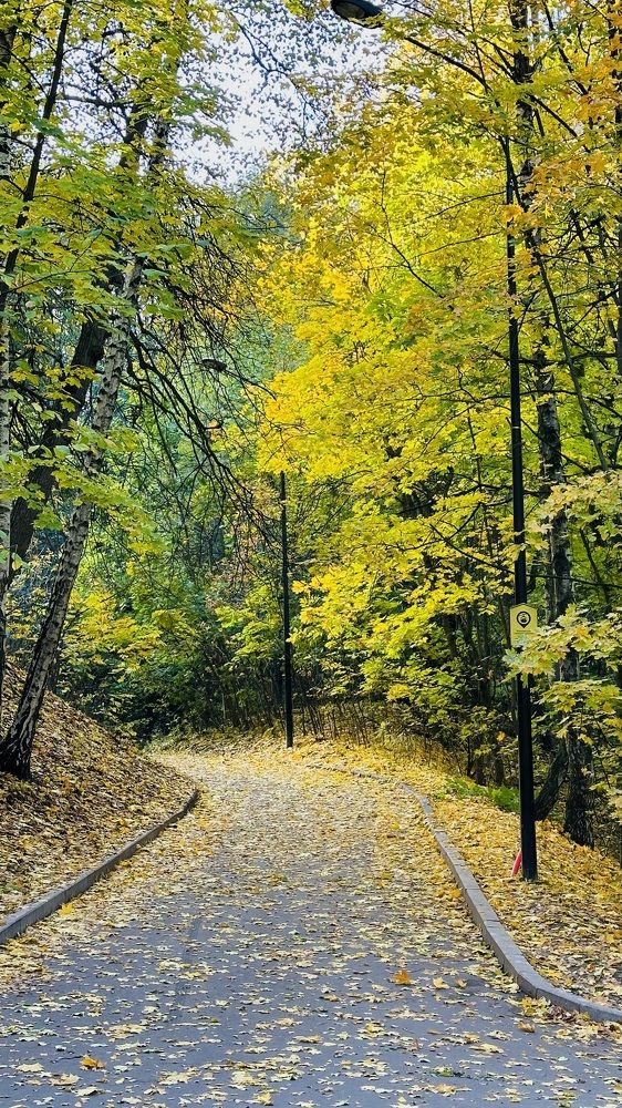 Photograph by Светлана