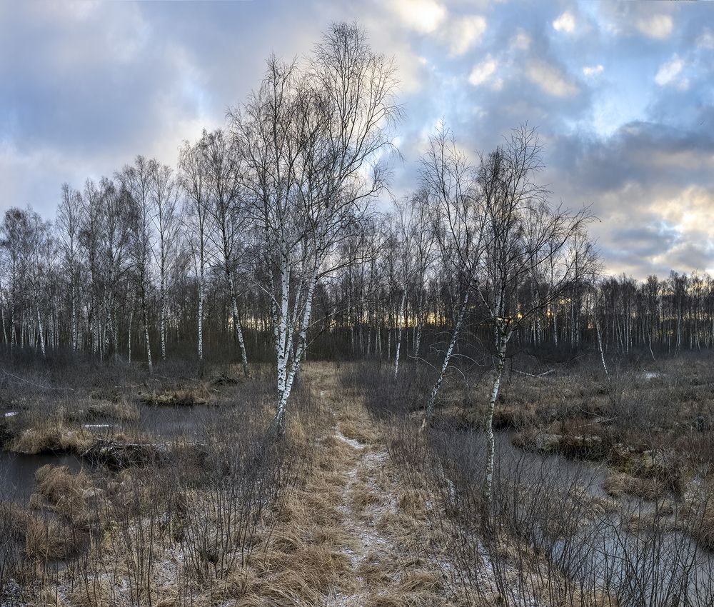 Фотография автора Eugenijus Rauduve