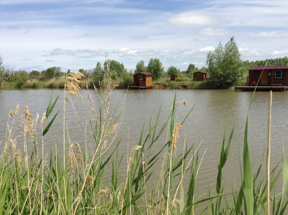 Photograph by Шорин Александр