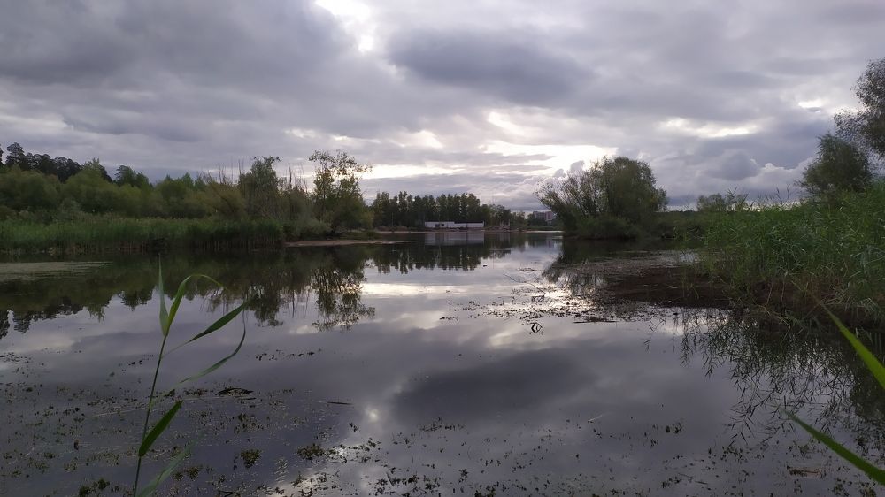 Photograph by Шорин Александр