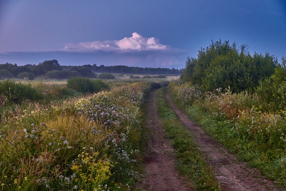 Photograph by Alla Matrosova
