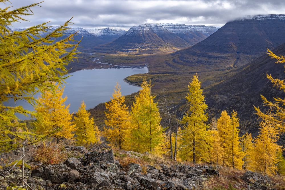 Photograph by Екатерина Лурина