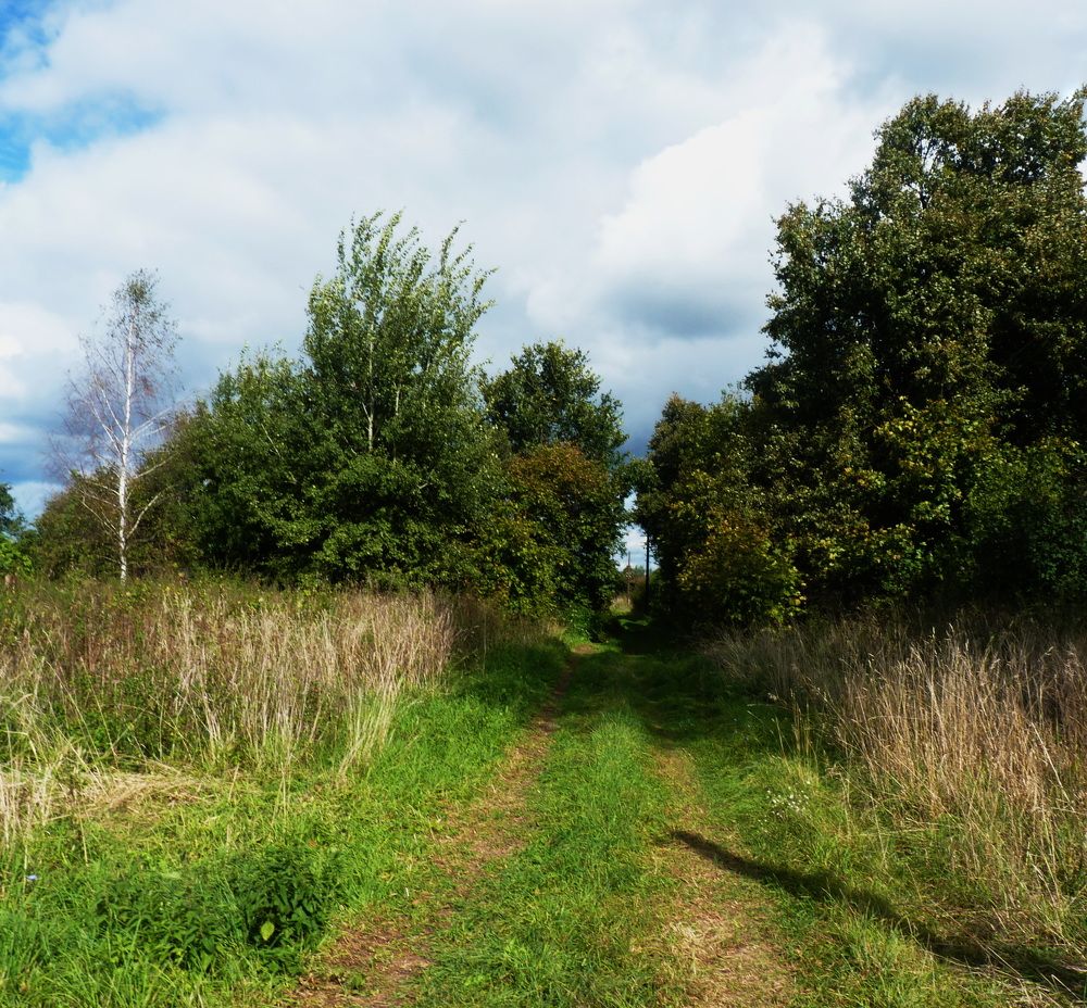 Photograph by Galina Leskova