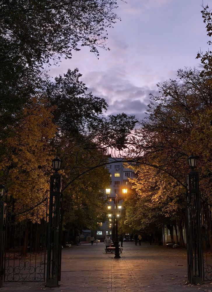 Photograph by Елизавета Зыкова