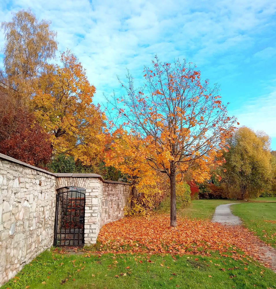 Photograph by Кожухов Алексей