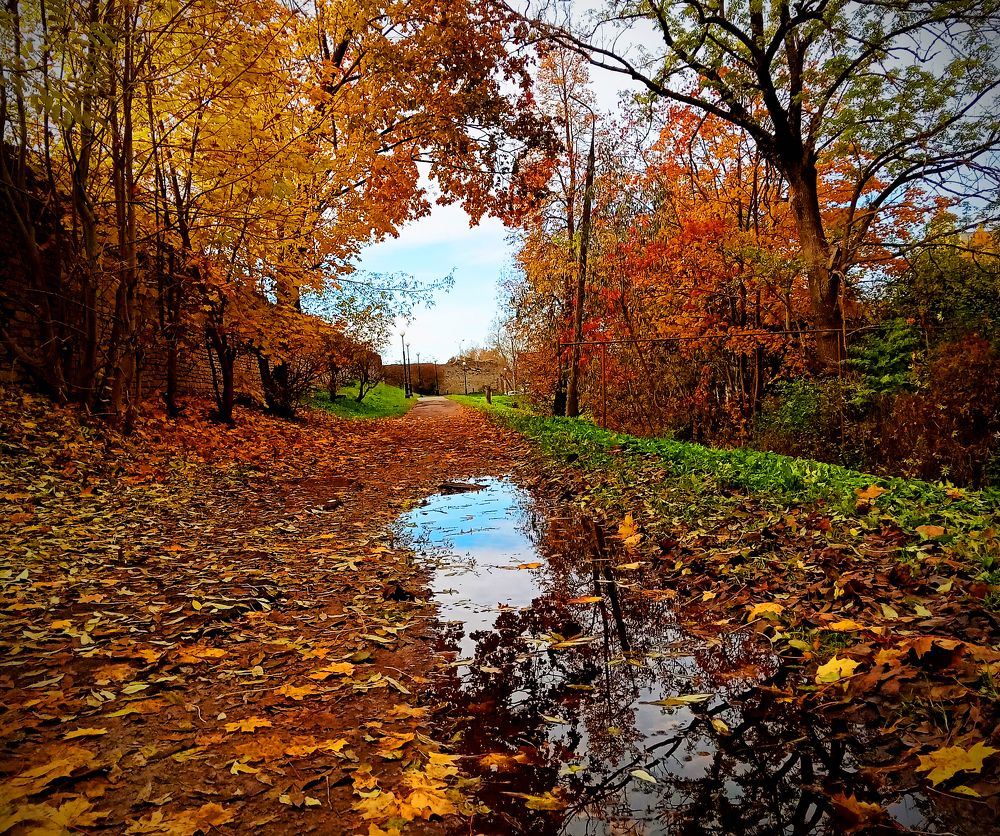 Photograph by Кожухов Алексей