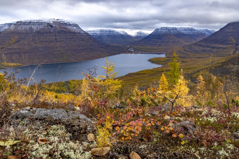 Photograph by Екатерина Лурина