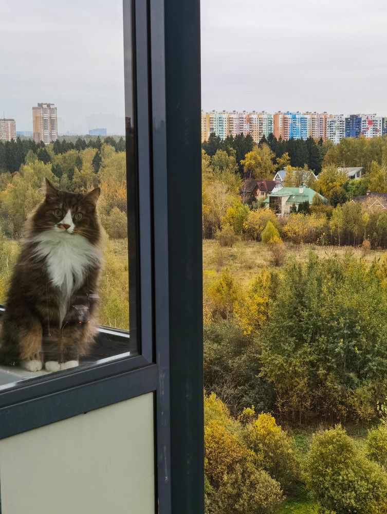 Photograph by Юлия