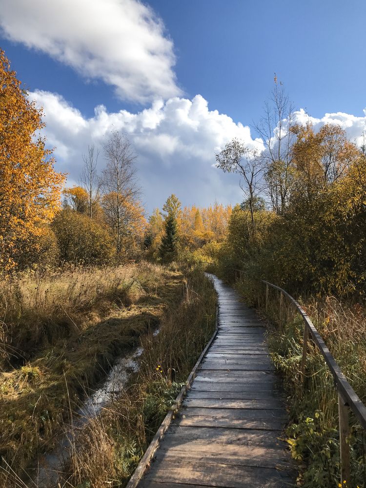 Фотография автора Лариса Гришкевич