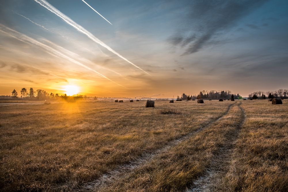 Photograph by Alla Matrosova