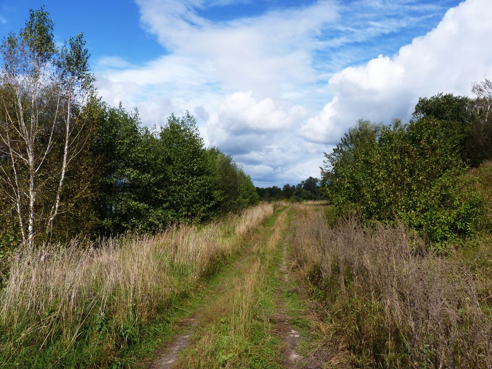 Photograph by Galina Leskova