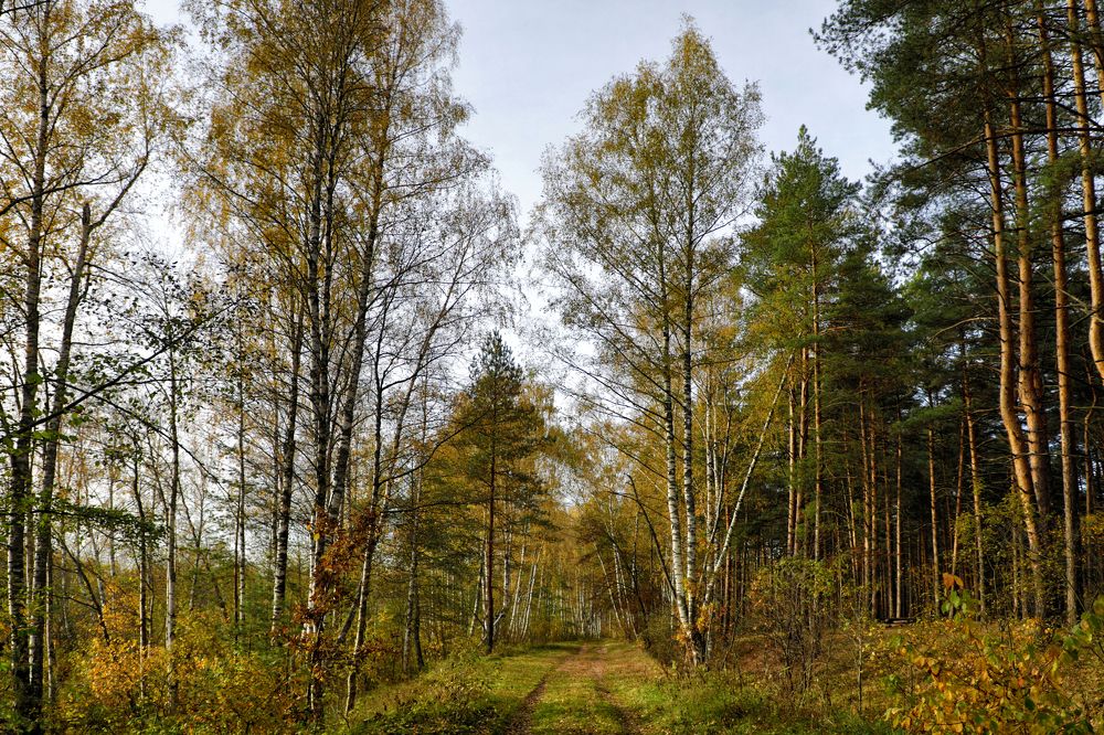 Photograph by Олег С