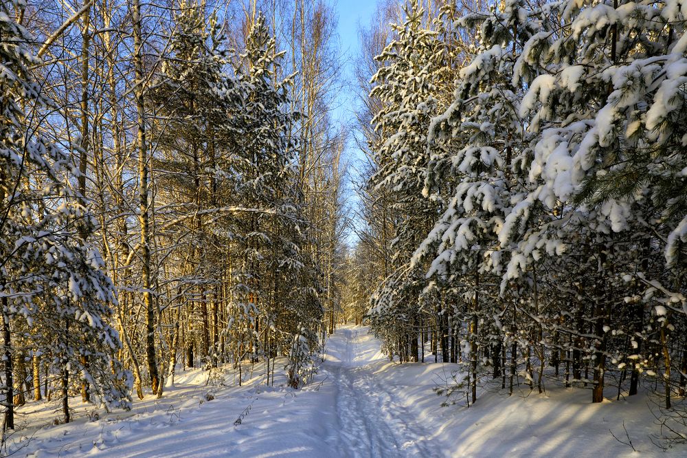 Photograph by Олег С