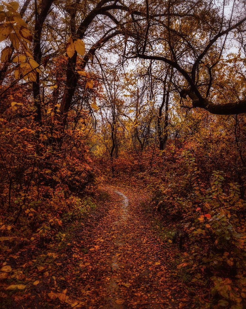 Photograph by Алексей Гуминский