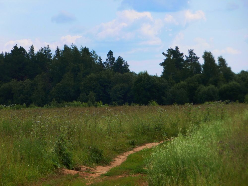 Photograph by Galina Leskova