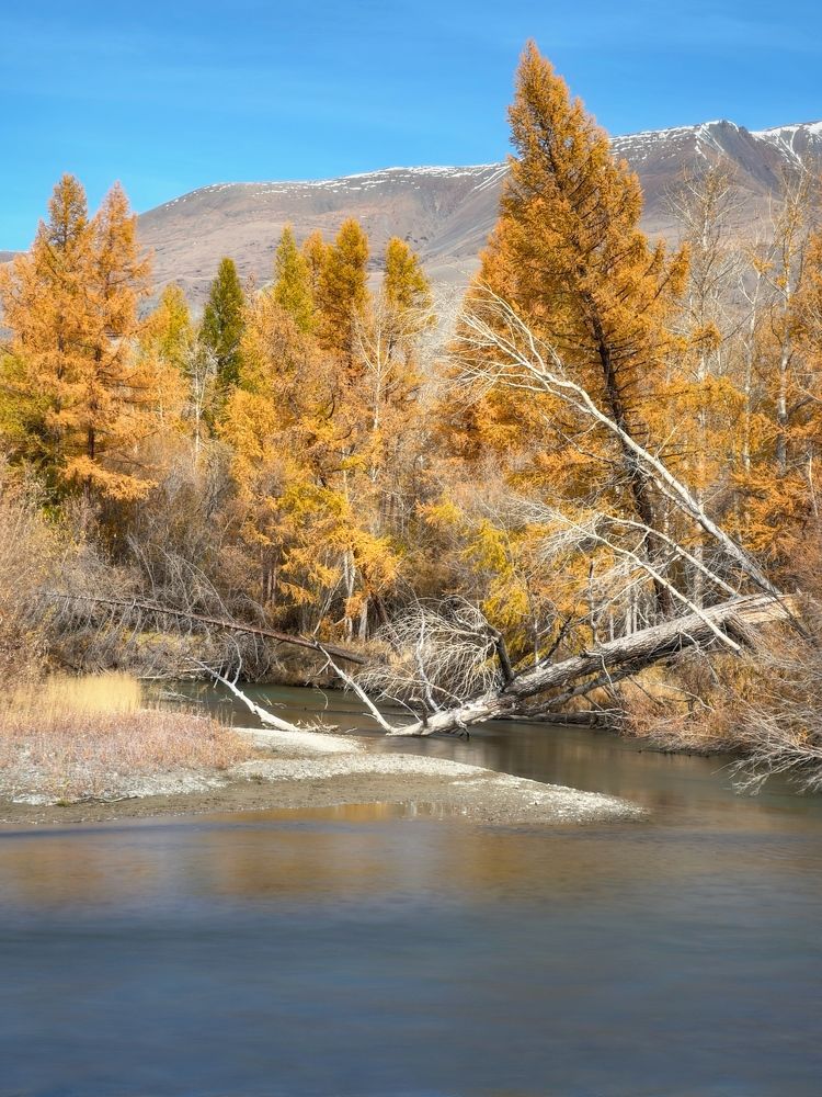 Photograph by Мозжухин Максим