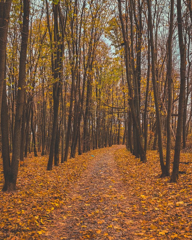 Photograph by Алексей Гуминский