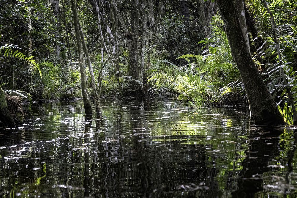 Фотография автора Ray Asiala