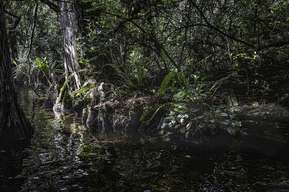 Фотография автора Ray Asiala