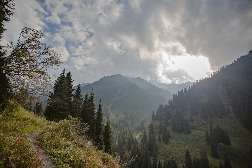 Photograph by Anton Gaev