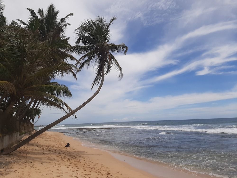 Photograph by Александр Миронов