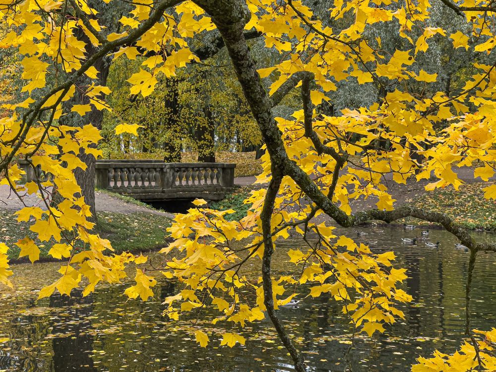 Фотография автора Sergey Sokolovsky