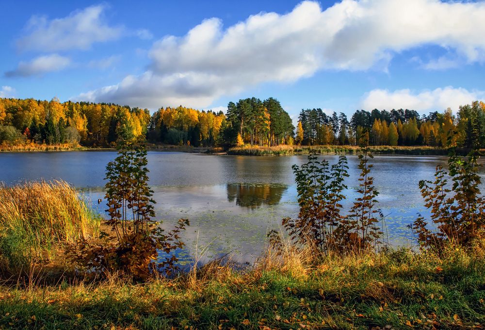 День наслаждения.