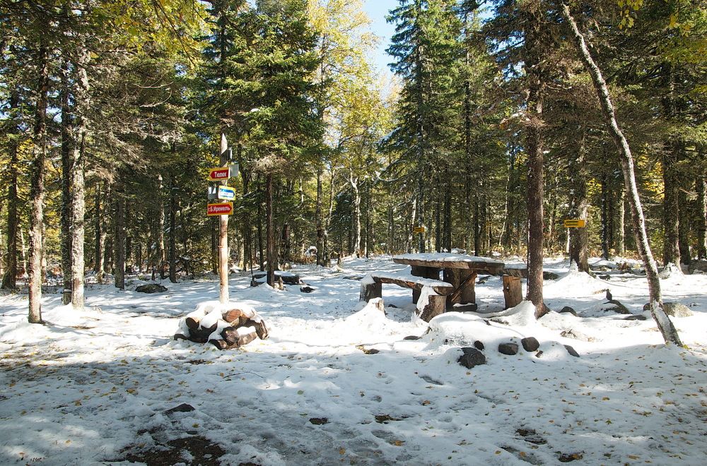 Таежный "перекресток"