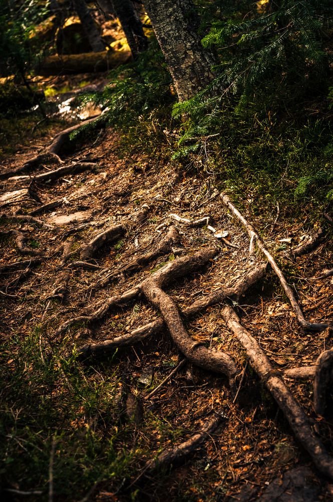 Photograph by Алексей Патрушев